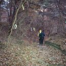 지리산454 Daum카페