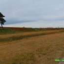 토성(土城) 터 이미지