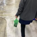 일월회집 | 가락시장 수산시장 횟집 일월수산 내돈내산 아름다운 한강 식당 초장집