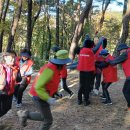 토닥숲놀이6-삼각산둘레길-윤은경샘 이미지