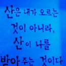동강카센타