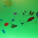 무인텔 나비 이미지