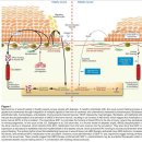 닥터조제통외과의원 이미지