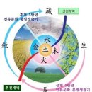 천수장생