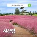 마라홀릭 마라탕 안성공도점 | 안성스타필드 맛집 샤브림 안성팜랜드 근처 아이와 가볼만한곳