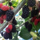 아리울농장 이미지