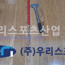 사창초등학교 이미지