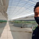 웰리스팜 이미지