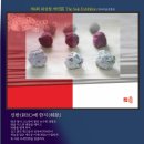 신반도 이미지