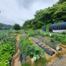 월암농장 이미지