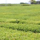 무문스테이 이미지