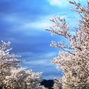 쏠비치 호텔 양양 이미지