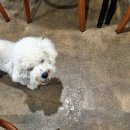 토마토수산시장 이미지
