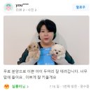 큐티댕냥 하남 본점 강아지 고양이 분양 이미지