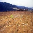 신구리농장 이미지