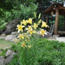 아름다운 정원을 꿈 이미지