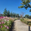 물안개공원 이미지