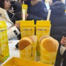 설매 | 하얼빈 빙등제 버킷리스트 성공! 1월4일 개막 전날 방문 후기