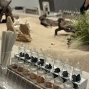 롯데리아해운대D-T점 | 해운대 향수 공방 <닷노트 해운대> 리뷰