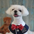 아띠그루밍 이미지