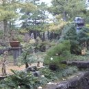 여미지식물원 이미지