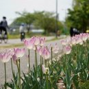 살곶이 궁터장 이미지