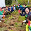 (주)파주민보 이미지