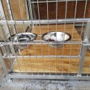 개밥그릇 이미지