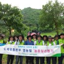 춘천농협 경제사업소 이미지