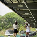 오크밸리 드라이빙레인지 | 오크밸리cc 연습장 드라이빙레인지 후기