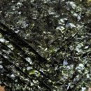 맛담은김밥 이미지