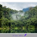 우림메디칼 이미지