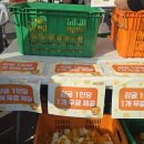 서귀포농업기술센터 | 서귀포농업기술센터에서 열린 2025 제주감귤박람회, 체험·볼거리 총정리