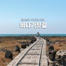 와우1리 | 제주 서귀포 바다 기찻길 근처 돌고래 스팟