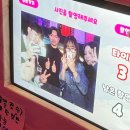 메이트 | 포토메이트 후기📷