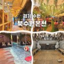 365플러스수원성대점 | 성대역 찜질방 북수원온천 성균관대역 놀거리 비오는날 아이랑 실내데이트 주차 할인