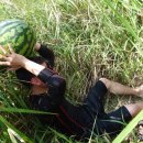 투앤포휠 이미지