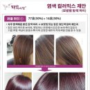 태후사랑염색두피