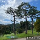 (주)아워홈 엘에스이 안성점 | [음성 진양밸리cc] 27홀 모든 코스와 맛집 소개