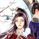 라임나무 이미지