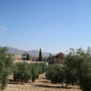 궁전민박 이미지