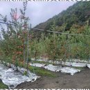 꽃피는산골민박 이미지