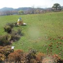 국가정원(동문) 이미지