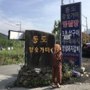 [양산 여행] 부산 근교 가볼만한곳 양산 찜질방 추천 : 통도참숯가마 (주말 후기)