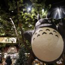 도토리몰 이미지