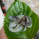 동해공동어시장 막썰어횟집 이미지