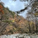 곰배령 쥐와 돼지 이미지