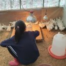 이동종계장 이미지