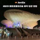 26290-20-17-003 | 스페인 세비야 메트로폴 파라솔 예약 입장 운영시간 야경 일몰시간