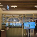 백화점길 | [영등포역맛집]영등포 타임스퀘어/신세계백화점 맛집, '닥터로빈'내돈내산 후기(가격/가는길)